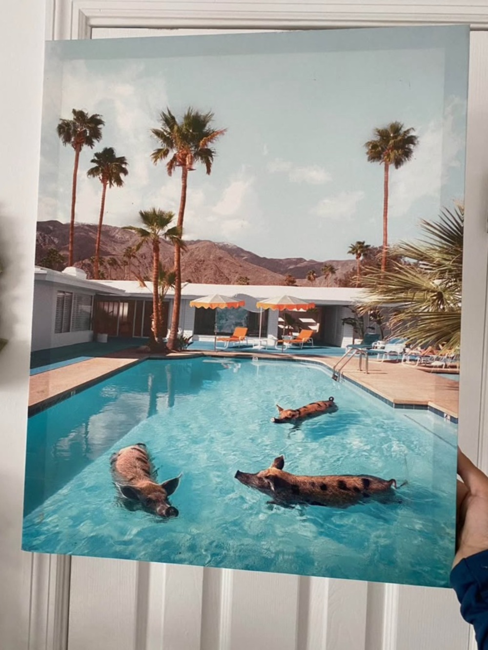 Poolside Palm Print - Tropical Pigs Artwork